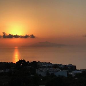R&D Rest And Dream Capri